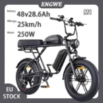 ENGWE-Bicicleta Eléctrica M1 para adulto, bici con Motor sin escobillas de 250W, batería Dual de 48V 15,6/28.6AH, para ciudad, con neumático ancho de 20 pulgadas