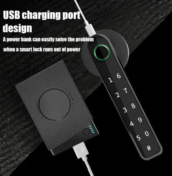 Tuya-cerradura inteligente con Control remoto por Bluetooth, cerradura con contraseña y huella dactilar, biométrica eléctrica, cerradura de puerta con pestillo único, envío desde España - Imagen 2