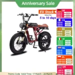 Stock de la UE bicicleta eléctrica de neumático ancho adultos 750W Motor sin escobillas 48V 13AH 20 pulgadas Ebike bicicleta eléctrica para adultos