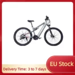 STOCK UE 1000W 48V bicicleta eléctrica para adultos rango de transmisión de 21 velocidades de 100KM potente bicicleta eléctrica para hombre batería extraíble