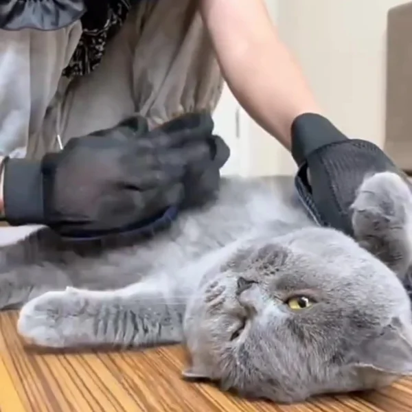 Guantes de silicona para aseo de mascotas, cepillo de pelo y peine para bañarse, limpieza de perros, depilación para perros, suministros de uso para animales - Imagen 6
