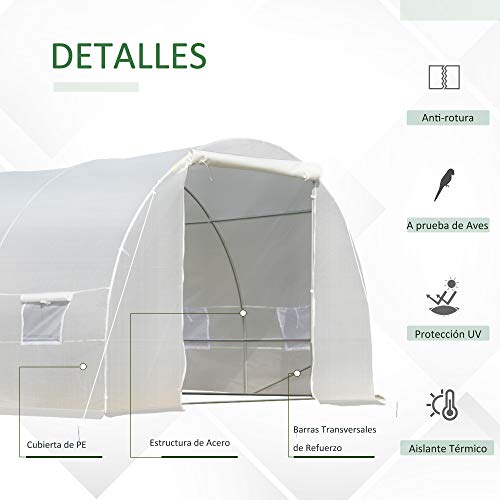 Invernadero túnel 8x3x2m con 12 ventanas