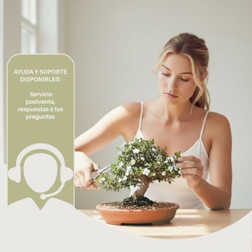 Kit de cultivo de bonsáis CULTIVEA