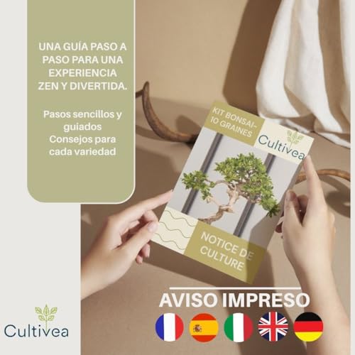 Kit de cultivo de bonsáis CULTIVEA
