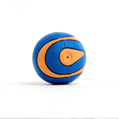 Juguete para perros Chuckit