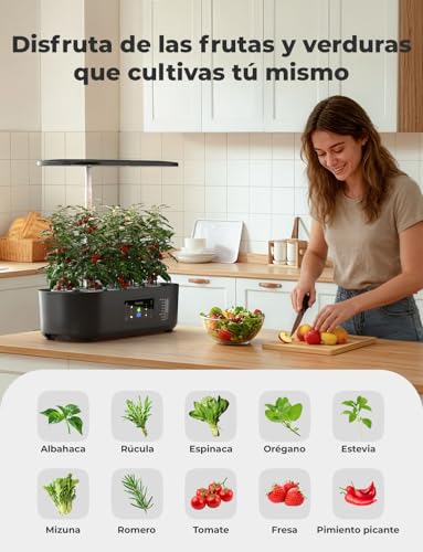 Kit de cultivo hidropónico 13 Vainas