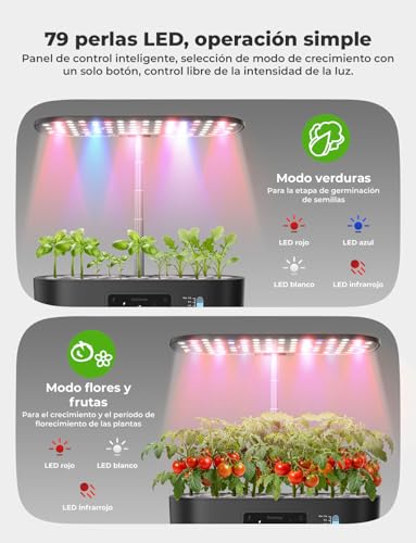 Kit de cultivo hidropónico 13 Vainas