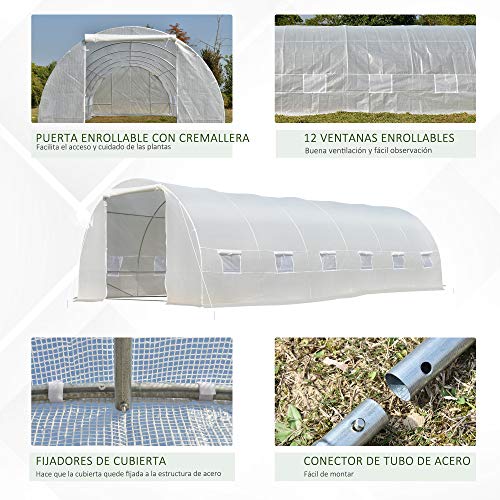 Invernadero túnel 8x3x2m con 12 ventanas