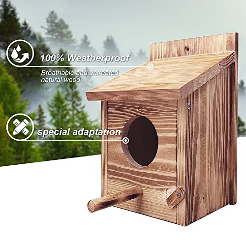 Casita Para Pajaros Casa