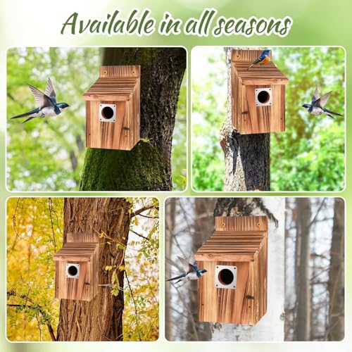 Casita Para Pajaros 3,8 cm