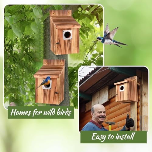 Casita Para Pajaros 3,8 cm