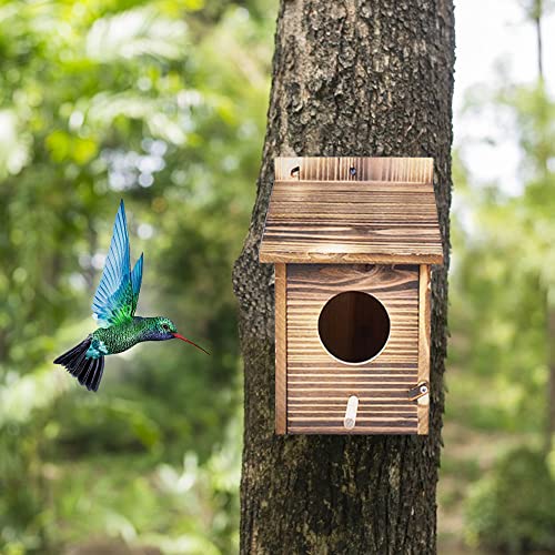 Casita Para Pajaros Casa