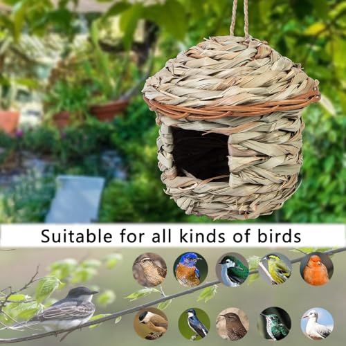 Casita Para Pajaros 15x15 cm