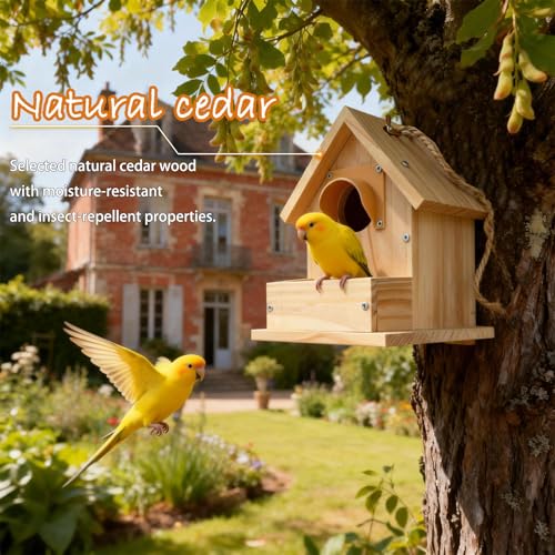 Casita Para Pajaros Nido