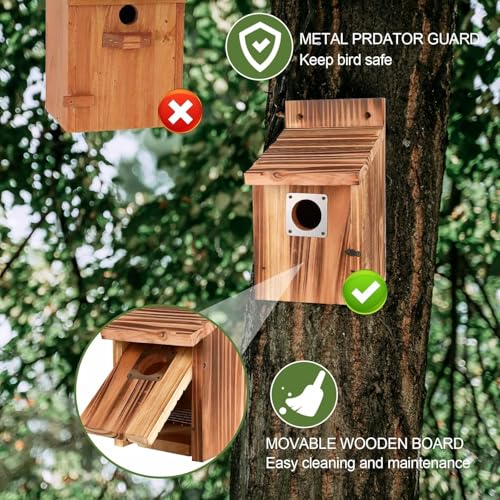 Casita Para Pajaros 3,8 cm