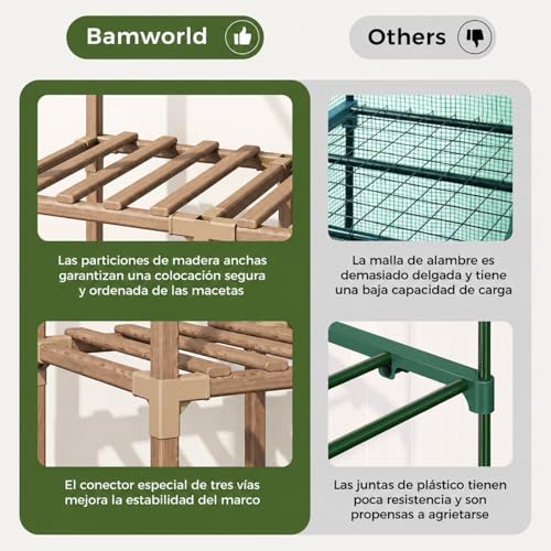 Invernadero exterior Bamworld