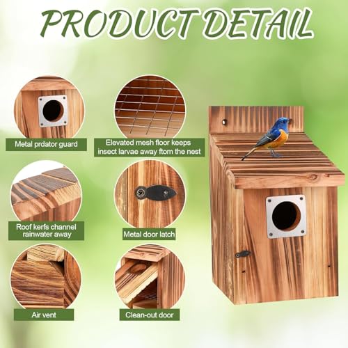 Casita Para Pajaros 3,8 cm