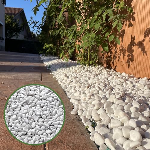 Caminos De Piedra Decorativa Piedras 24mm
