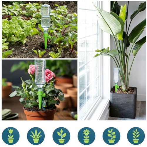 Kit de cultivo de bonsáis Riego