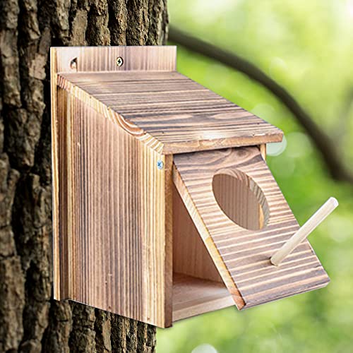 Casita Para Pajaros Casa