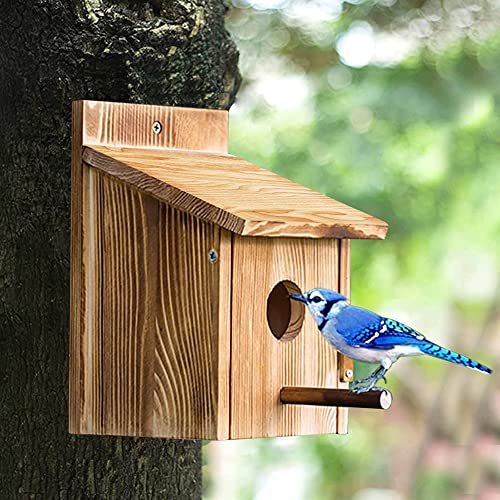 Casita Para Pajaros Casa