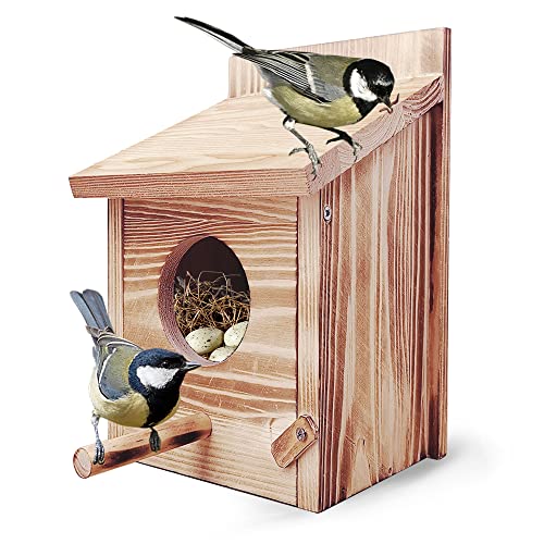 Casita Para Pajaros Casa