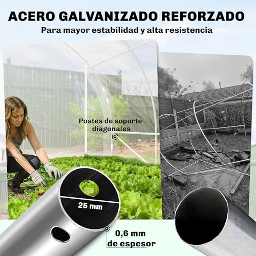 Invernadero túnel 6x3x2m con dos puertas enrollables