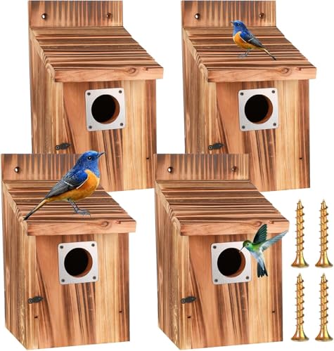 Casita Para Pajaros 3,8 cm