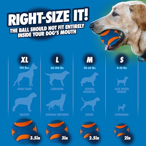 Juguete para perros Chuckit