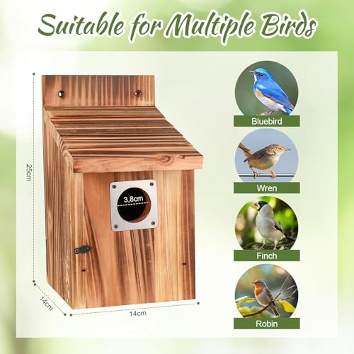 Casita Para Pajaros 3,8 cm