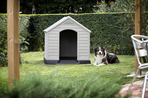 Caseta Exterior Para Perro Curver 95 x 99 x 99 cm