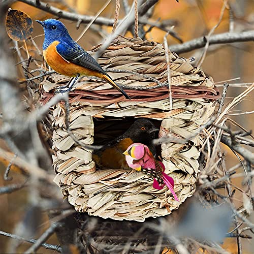 Casita Para Pajaros 15x15 cm