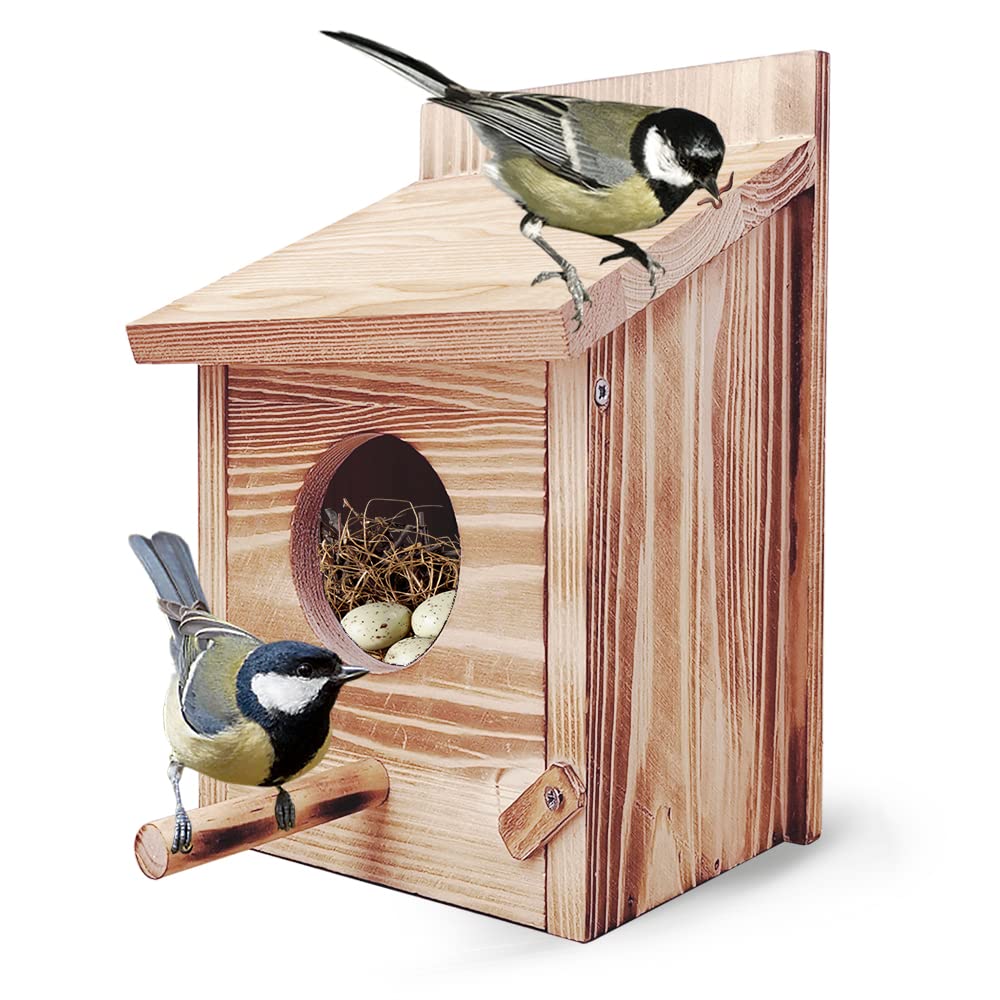 Casita Para Pajaros Casa