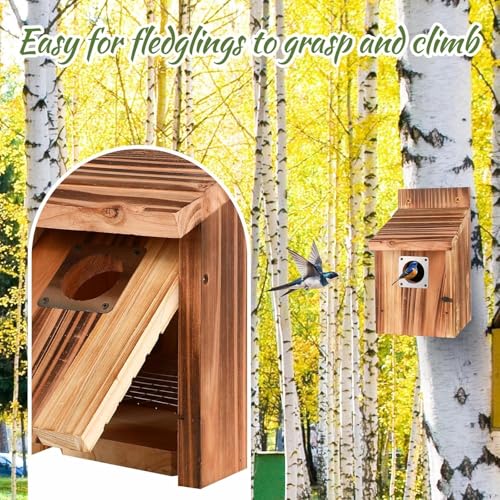 Casita Para Pajaros 3,8 cm