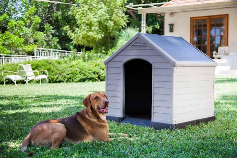 Caseta Exterior Para Perro Curver 95 x 99 x 99 cm