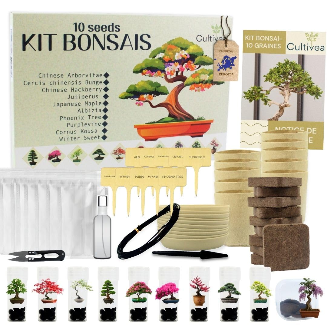 Kit de cultivo de bonsáis CULTIVEA