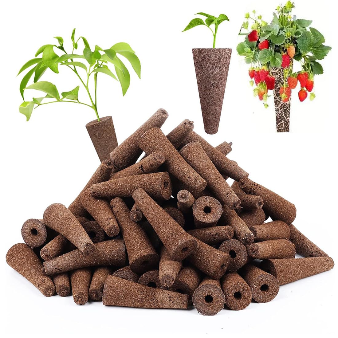 Kit de cultivo hidropónico 13 Vainas