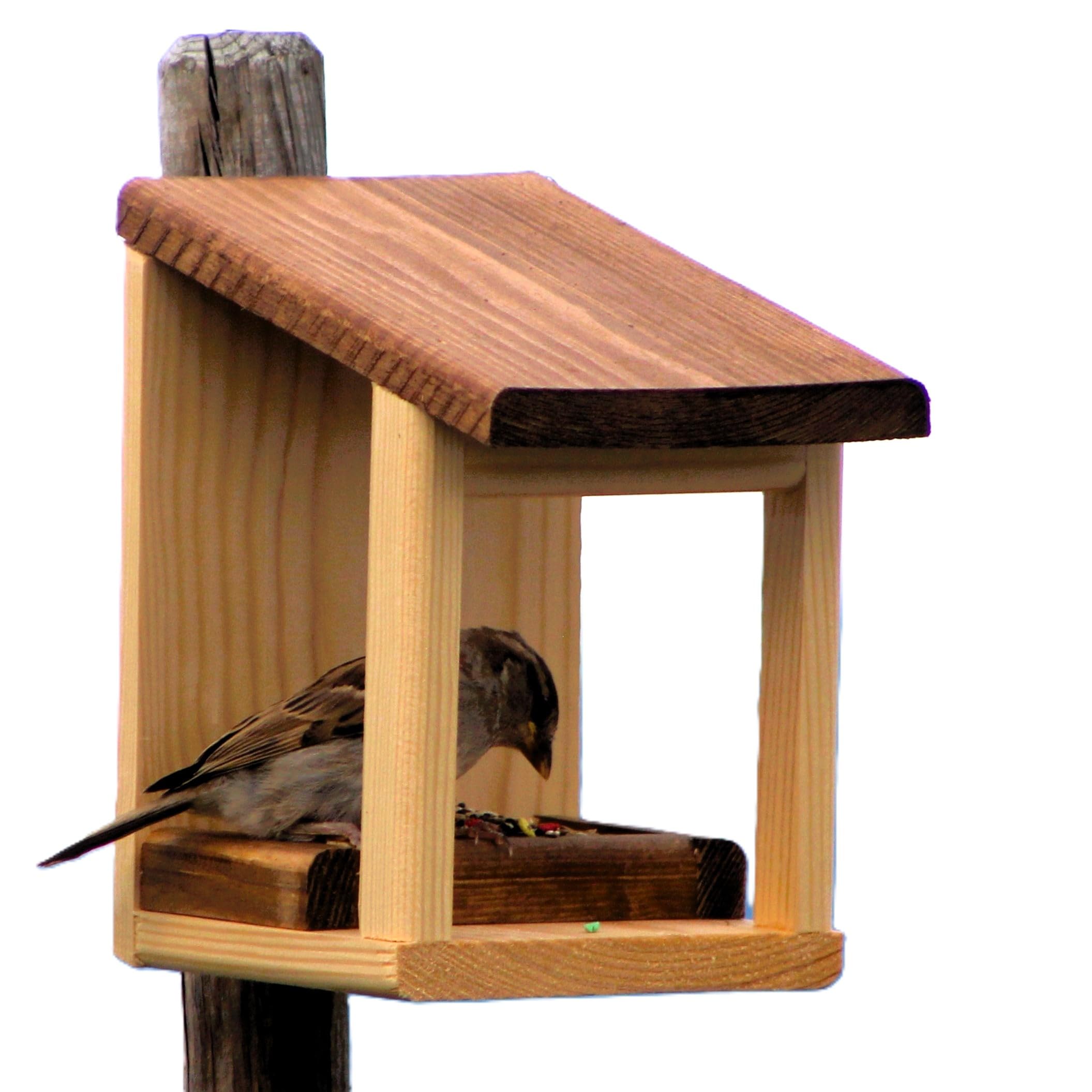 Casita Para Pajaros Casa