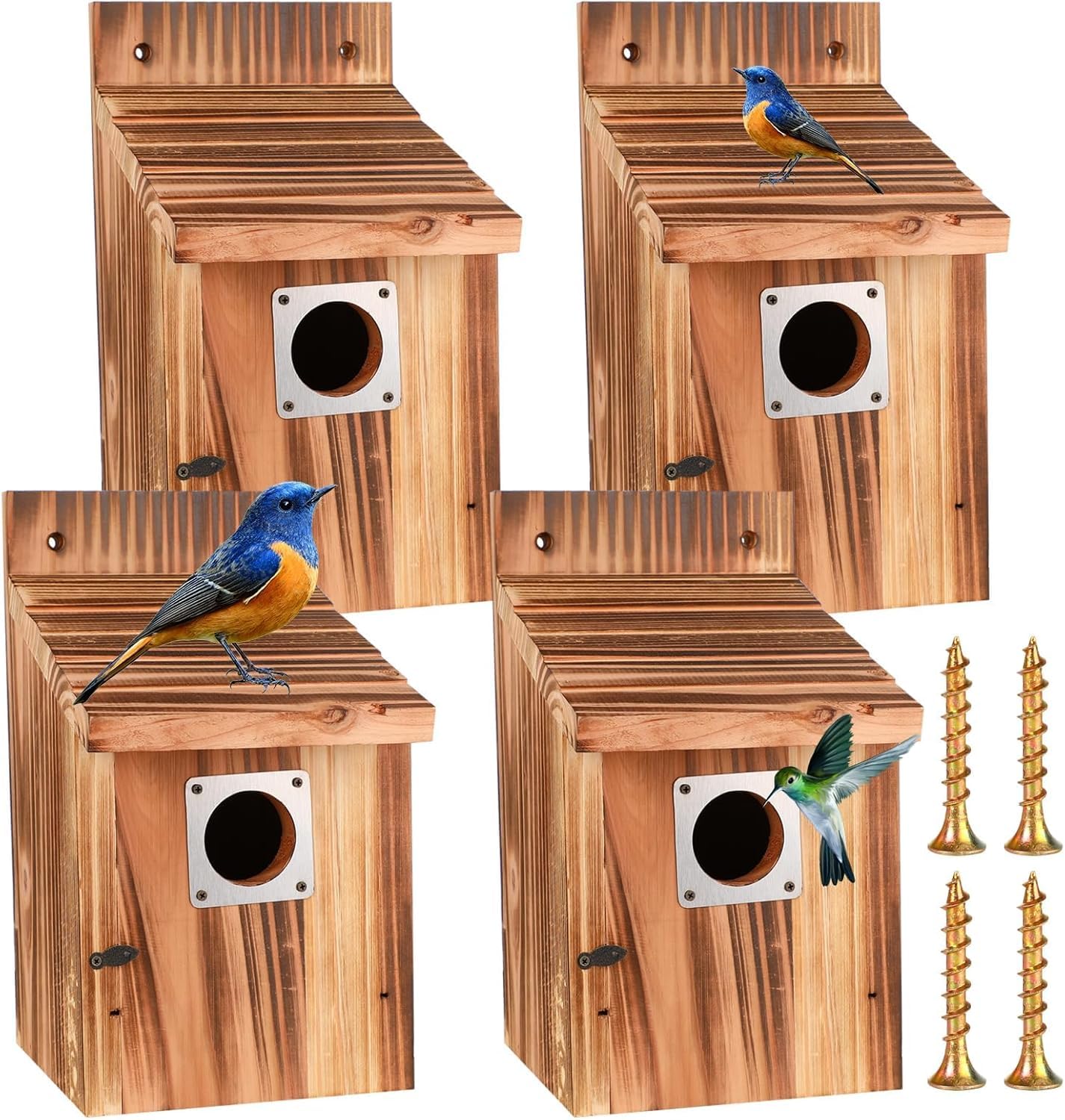 Casita Para Pajaros 3,8 cm