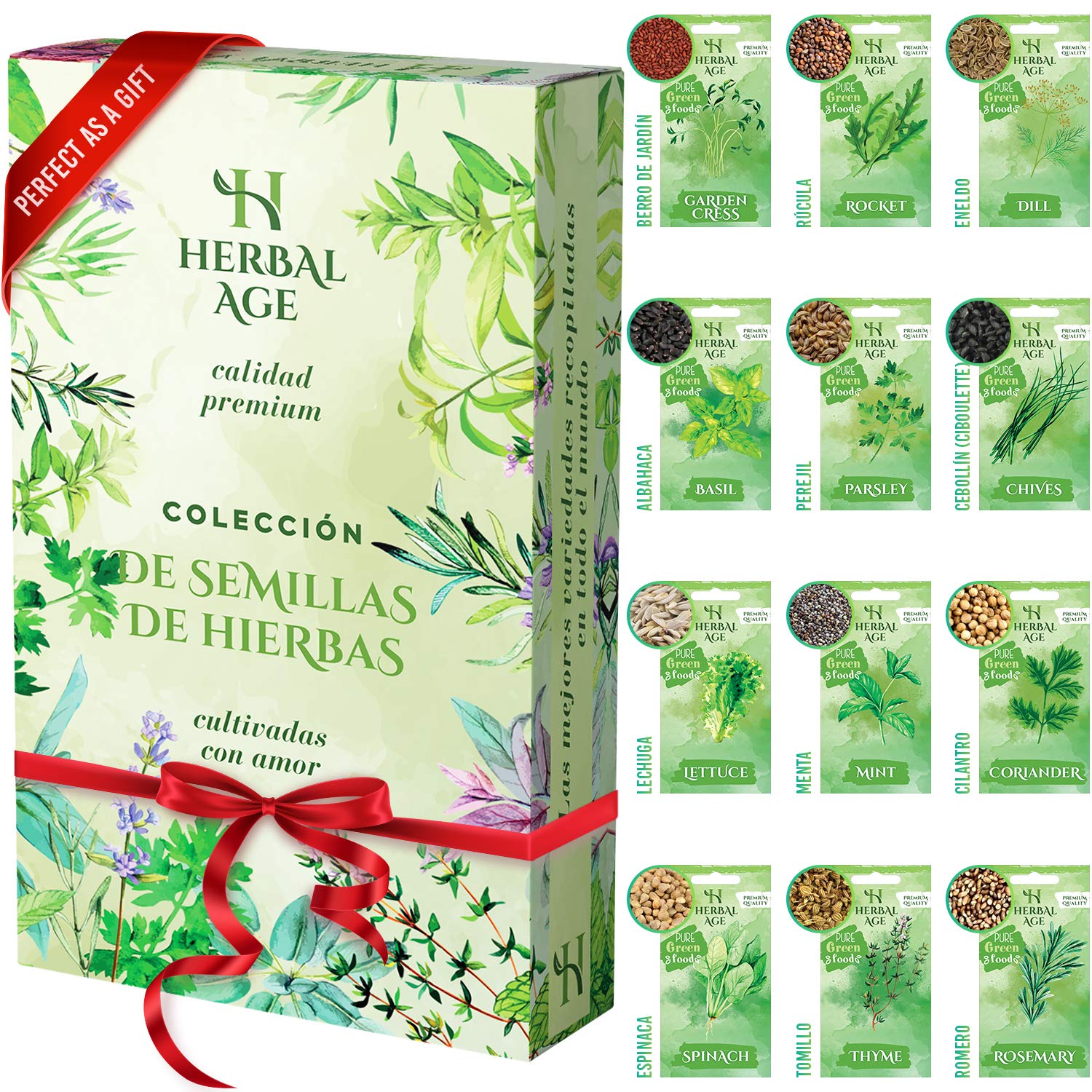 Set De Herramientas Pequeñas De Jardineria YAUNGEL