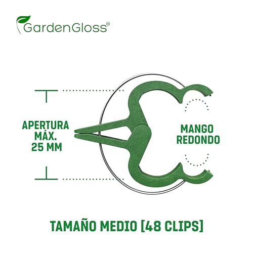 Celosias Para Trepadoras GardenGloss