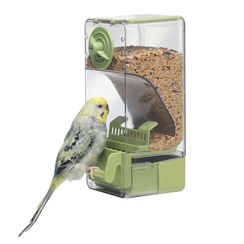 Comedero automático para pájaros, comedero para Jaula de pájaros con Percha para