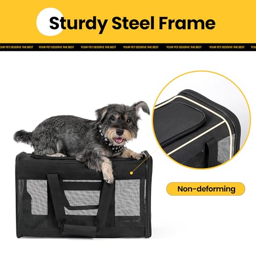 Transportin Para Gatos Y Perros Conlun