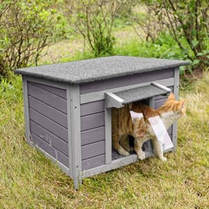 Caseta Exterior Para Perro Casa