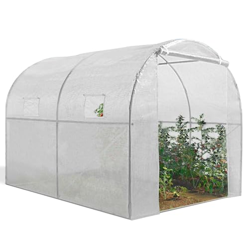 Invernadero exterior IDMarket 2 x 3 m 6 m