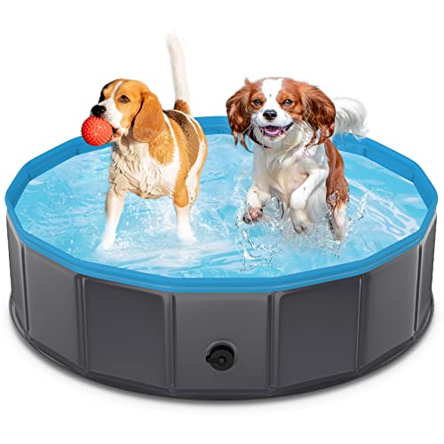 Piscina para perros 80 x 20 cm