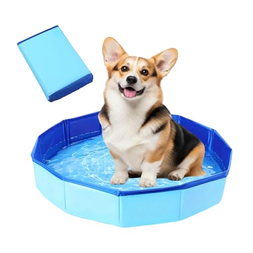 Piscina para perros 50 x 10 cm