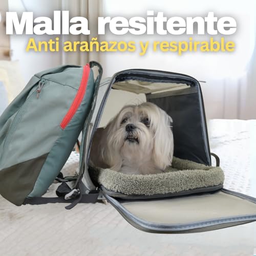 Transportin Para Gatos Y Perros PEPPER