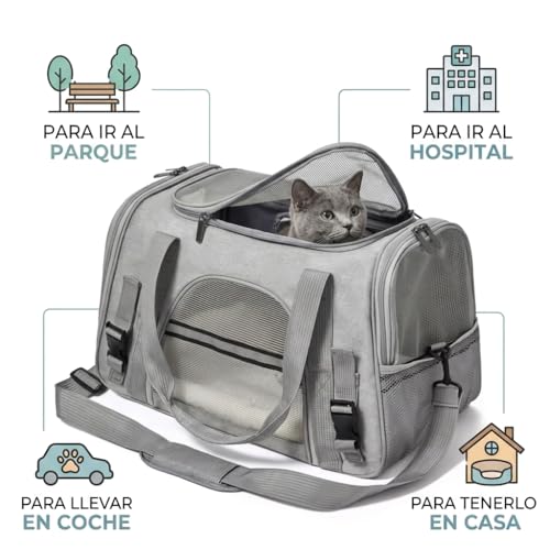 Transportin Para Gatos Y Perros TransportÃn