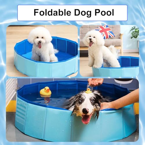 Piscina para perros 50 x 10 cm